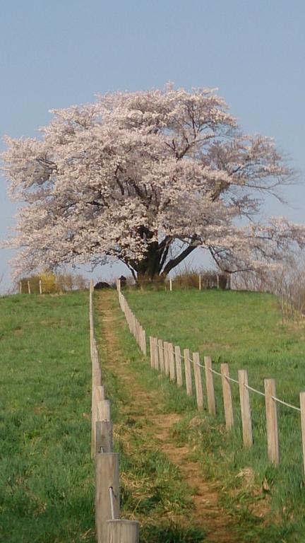 Active Resorts Iwate Hachimantai Hachimantai  Eksteriør billede